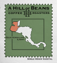 Guatemalan Light